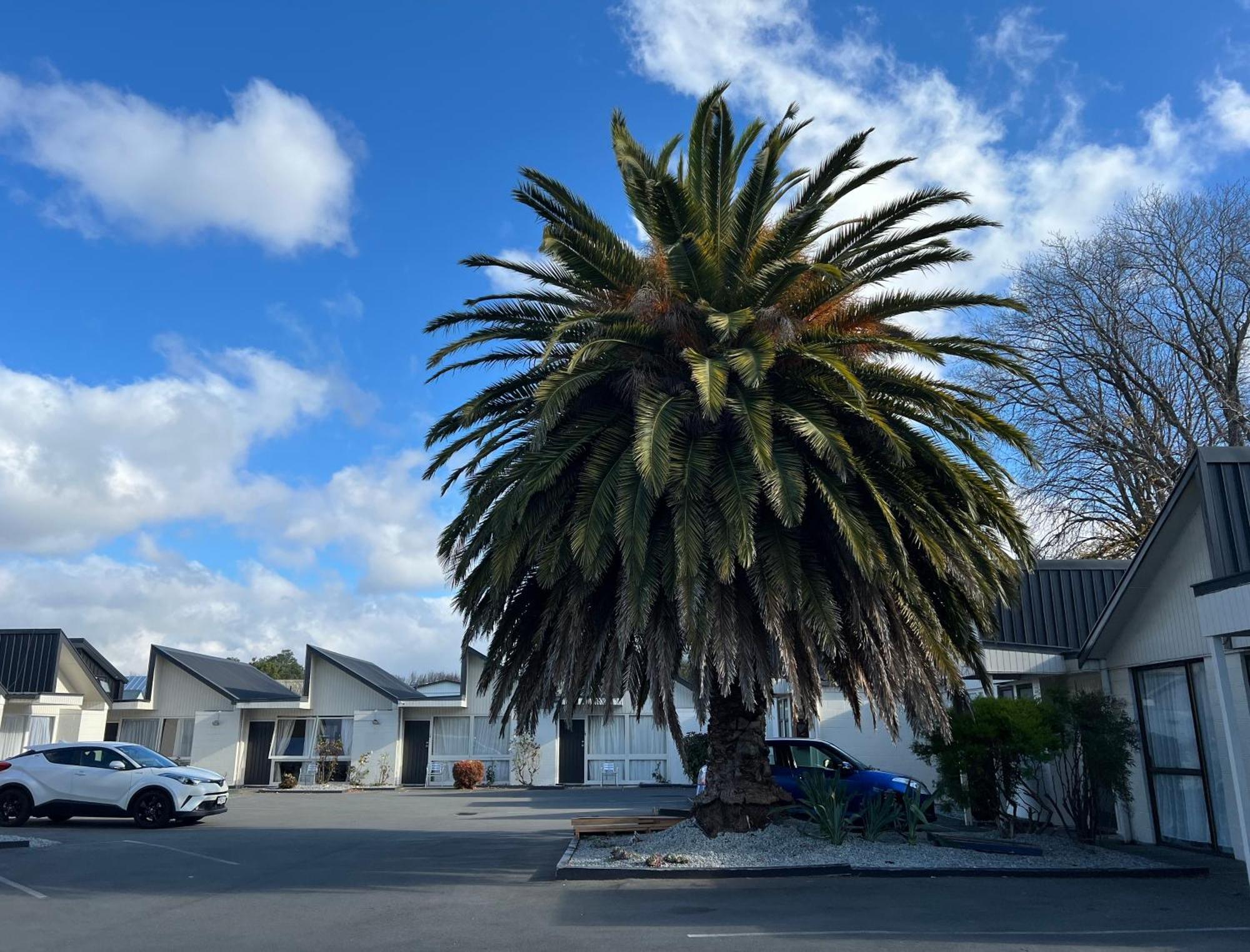 Diplomat Motel Christchurch Eksteriør bilde